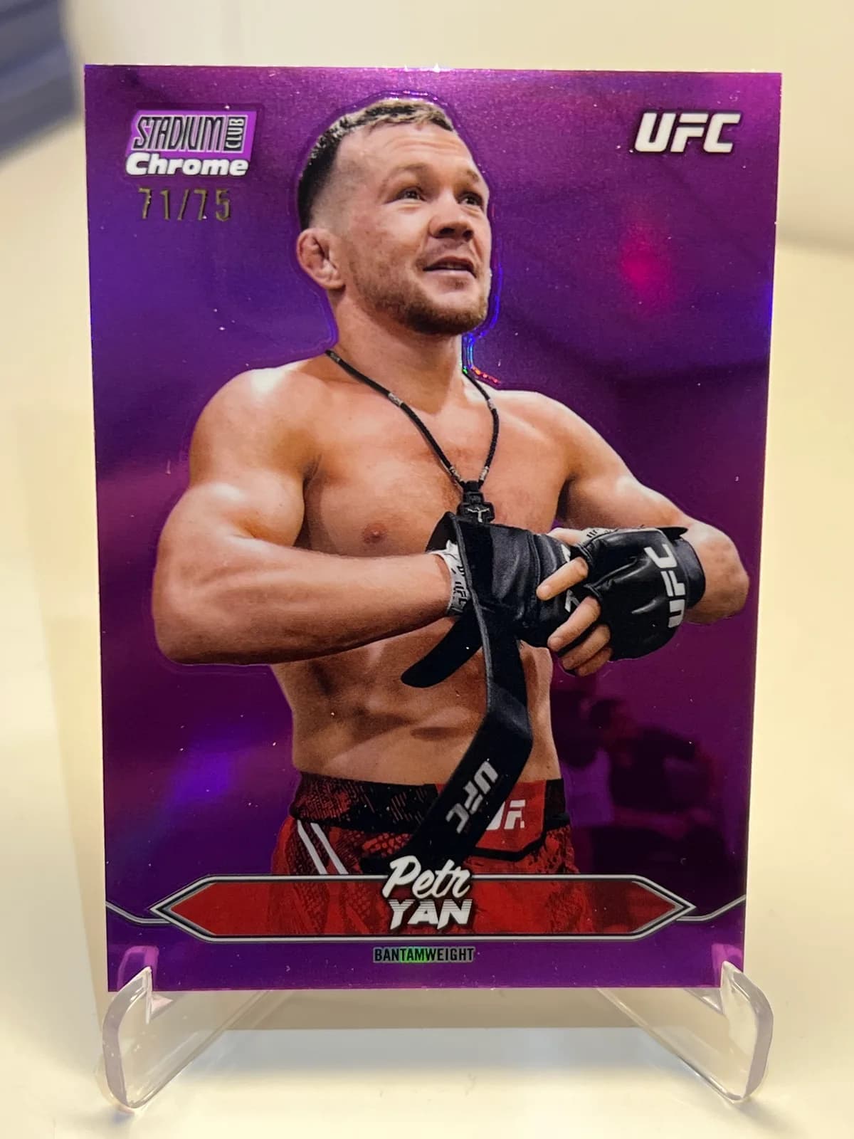 UFC